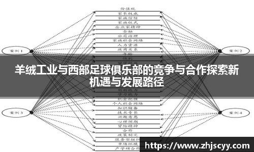 WilliamHill羊绒工业与西部足球俱乐部的竞争与合作探索新机遇与发展路径